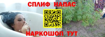 прущие крисы Аргун