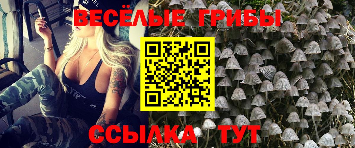 Псилоцибиновые грибы прущие грибы Коломна
