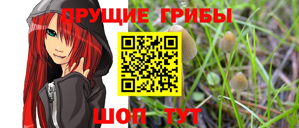 Псилоцибиновые грибы мицелий Коломна